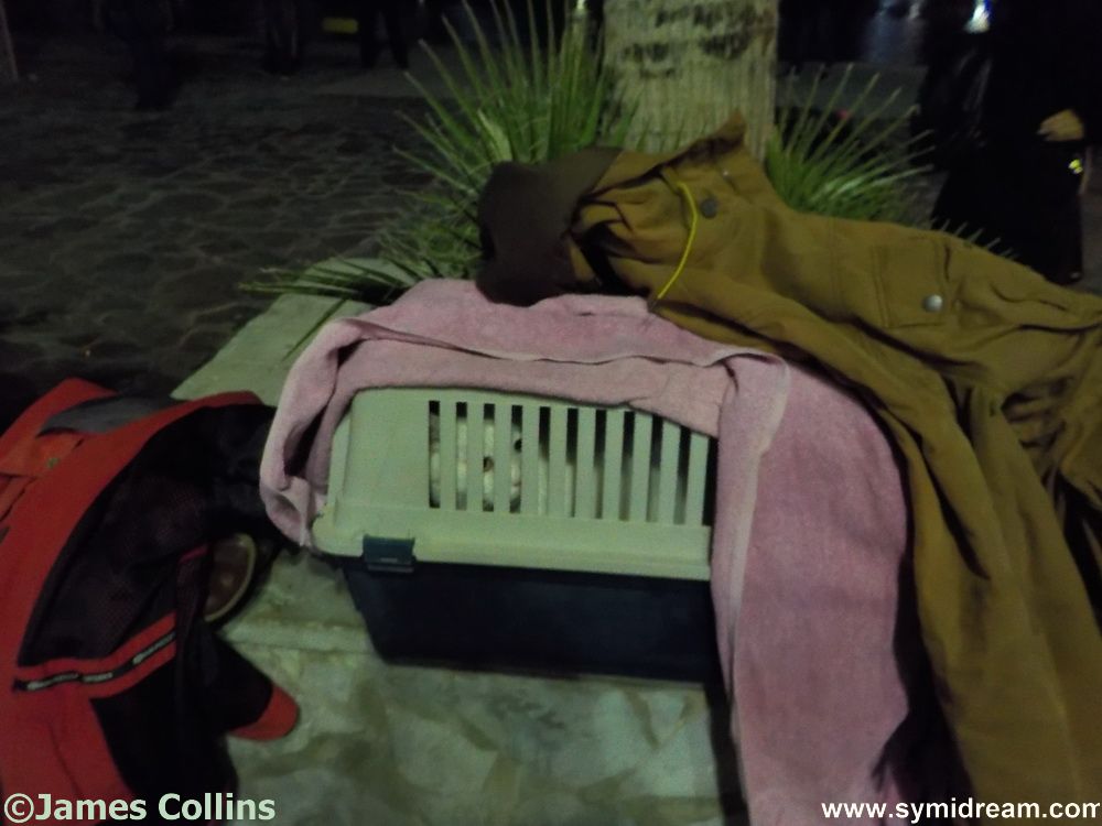 Symi Greece Symi Dream photos