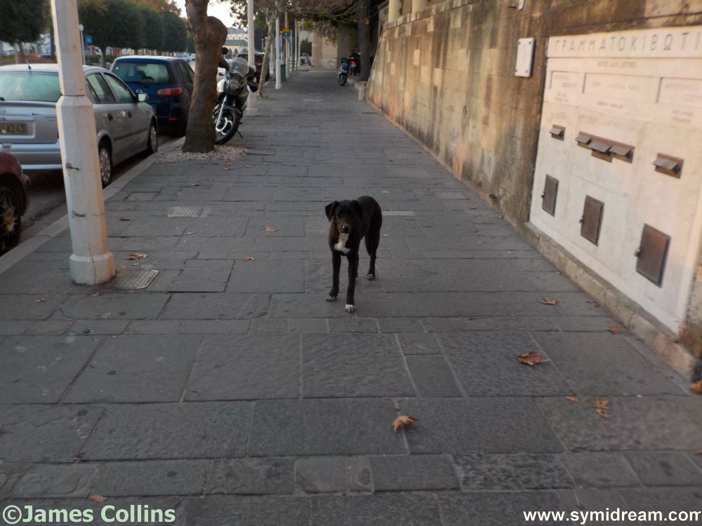 Symi Greece Symi Dream photos