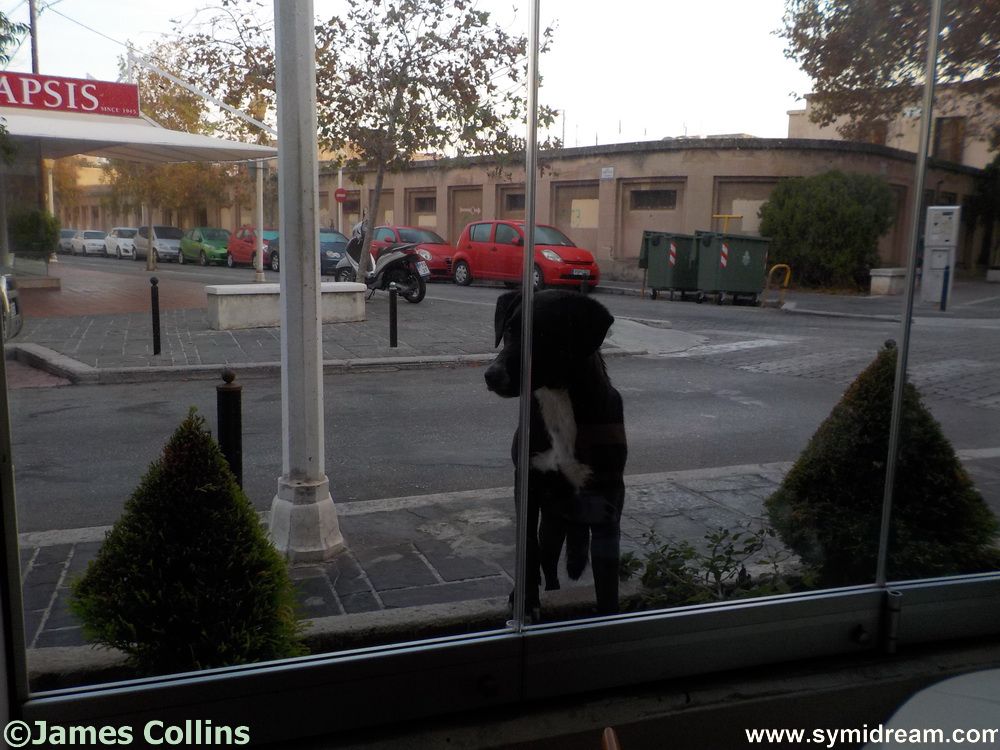 Symi Greece Symi Dream photos