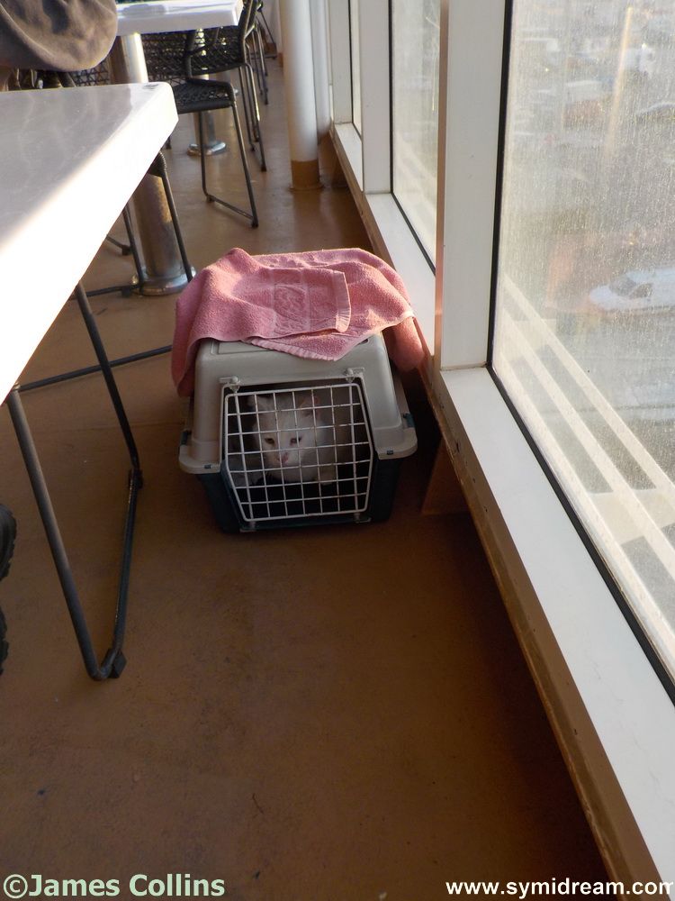 Symi Greece Symi Dream photos