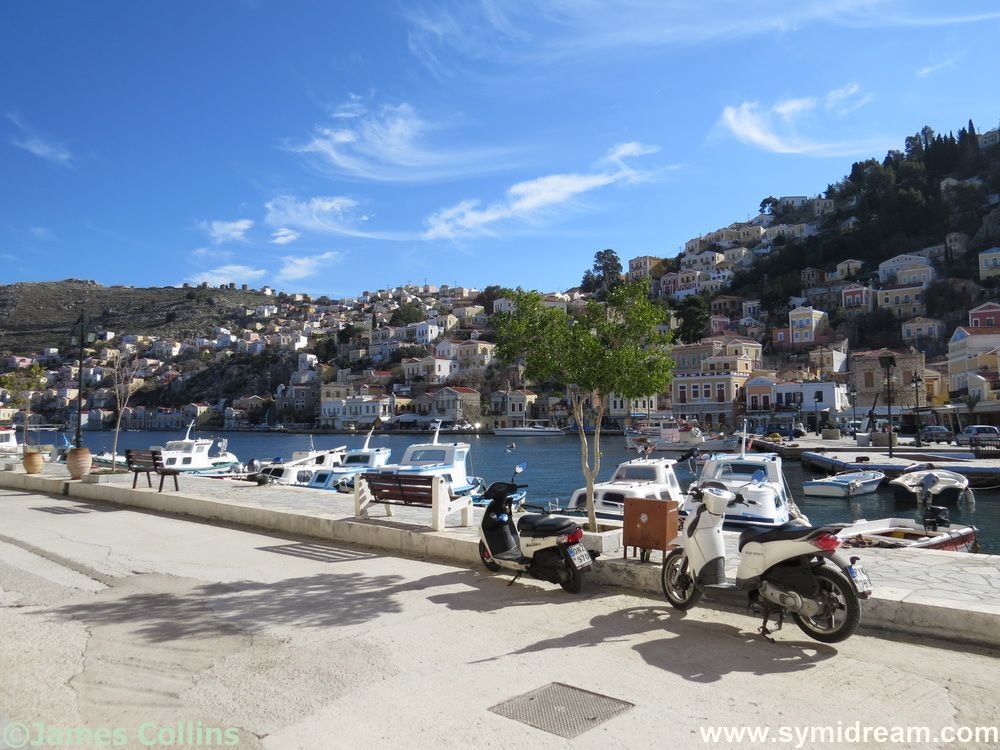Symi weekend, plus frog