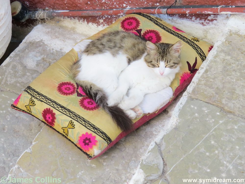 Symi Greece Symi Dream photos