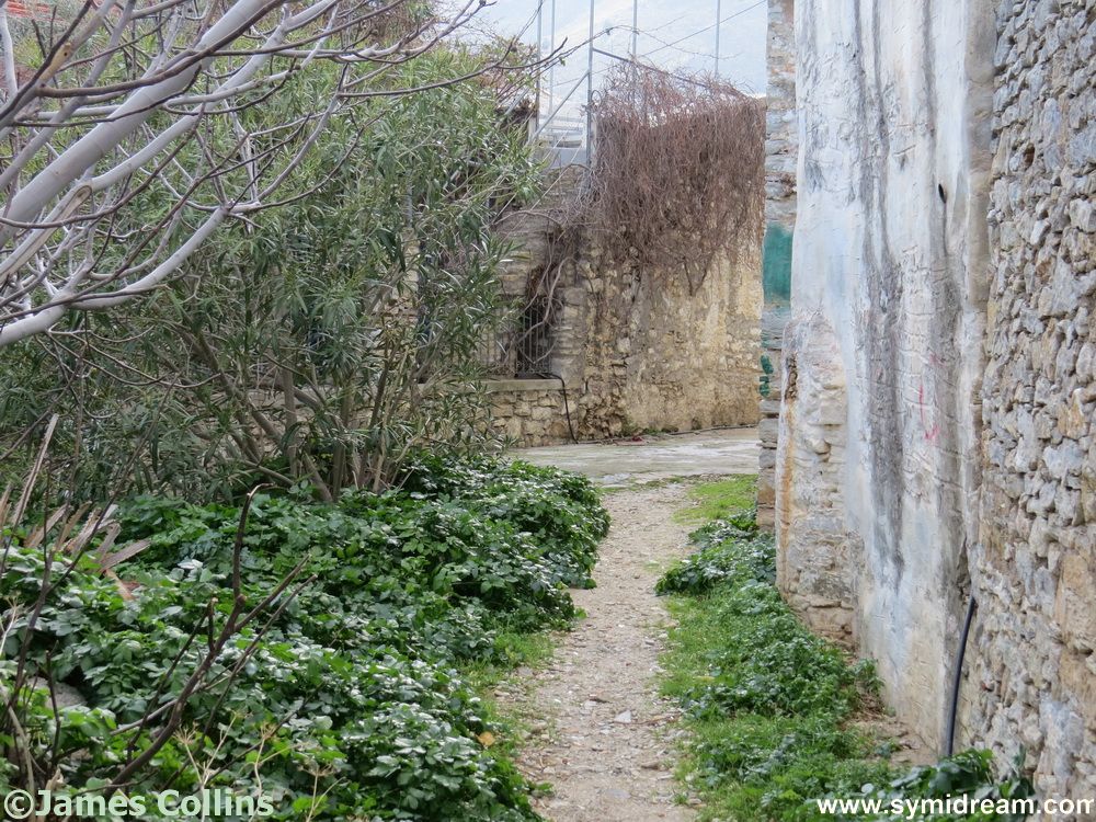 Novelettes and travel expenses