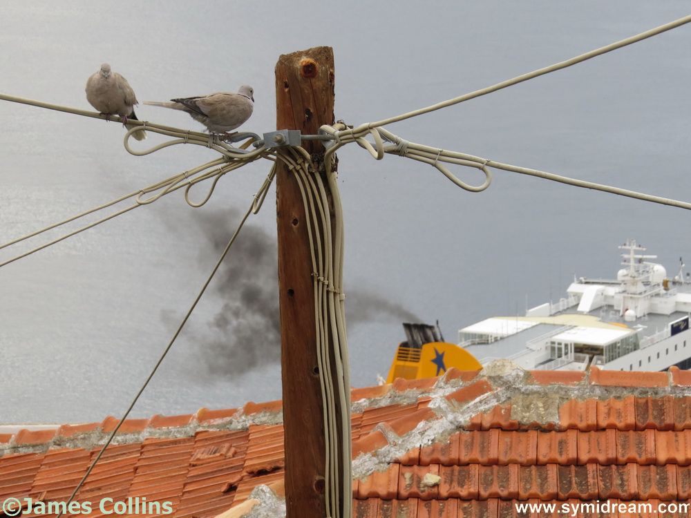 Symi Greece Symi Dream photos