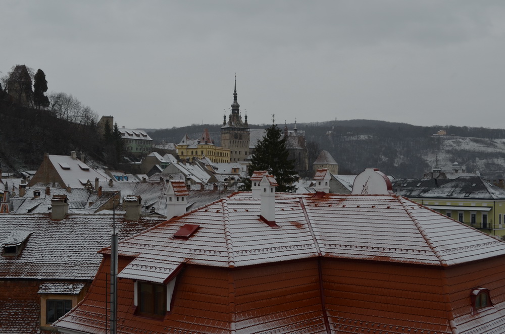 Birthday view from the window