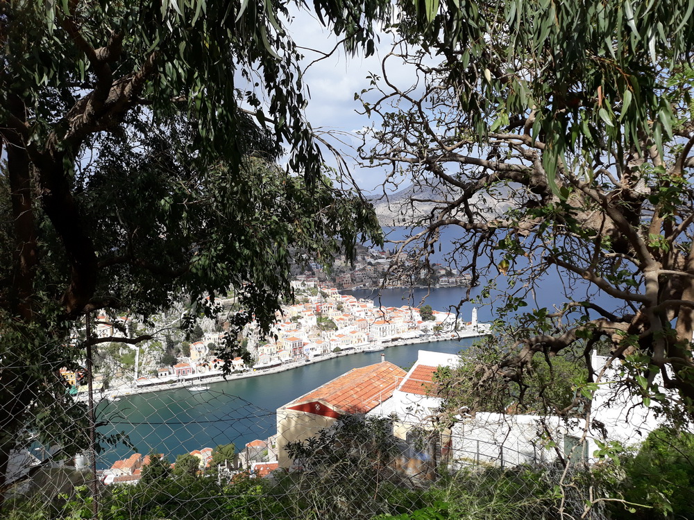 Symi Saturday morning