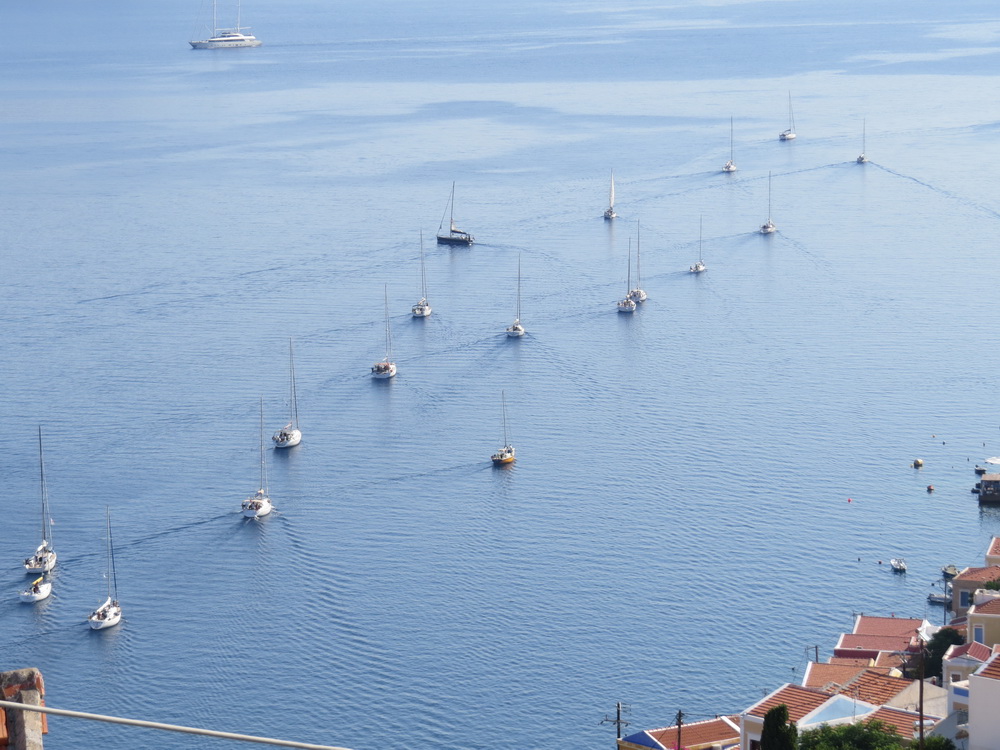 A regatta leaving last week