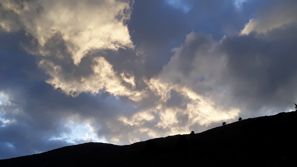 There's a lark having a praying lesson in there somewhere