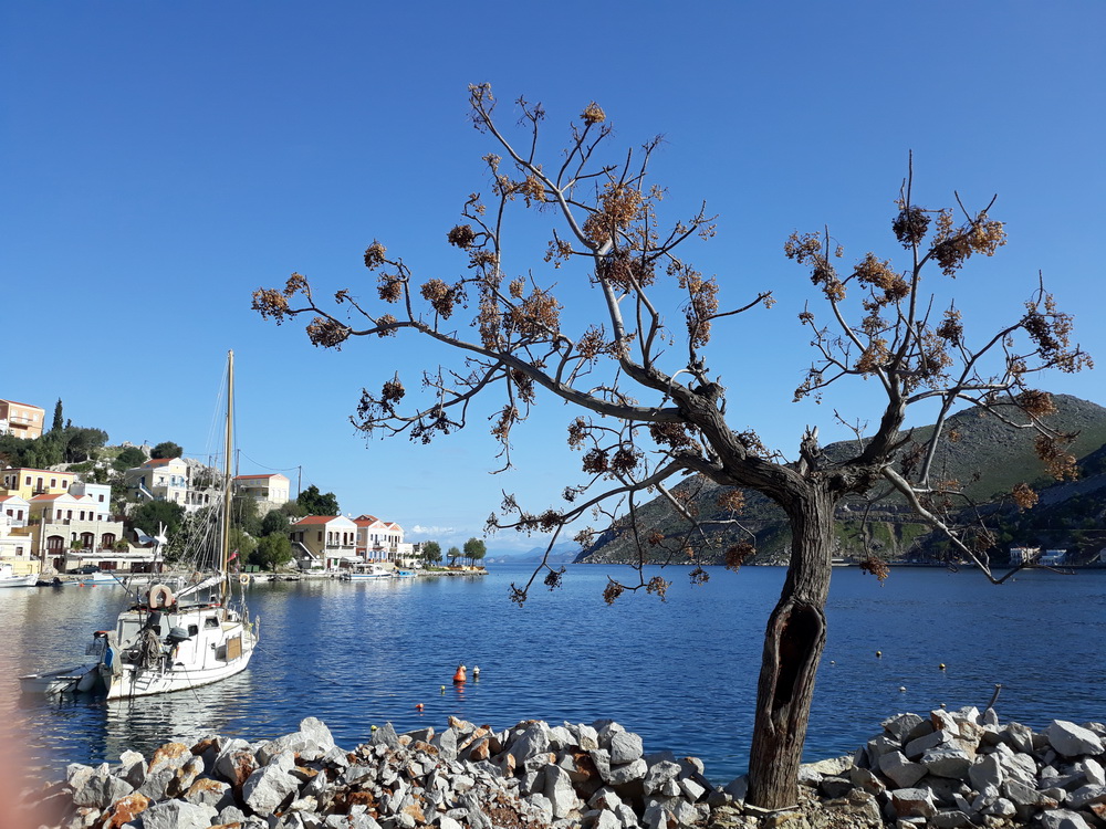 Neil gosling Symi_80