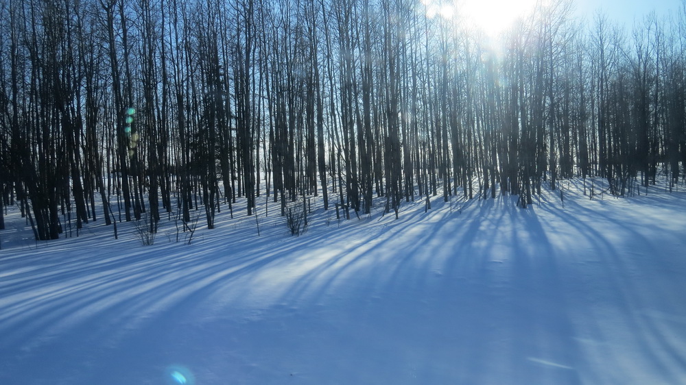 March 15th kamloops to vancouver_35