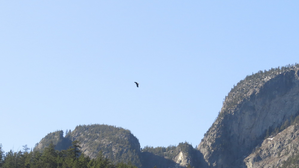 March 15th kamloops to vancouver_43