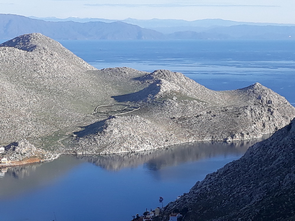 Neil January 2021_15