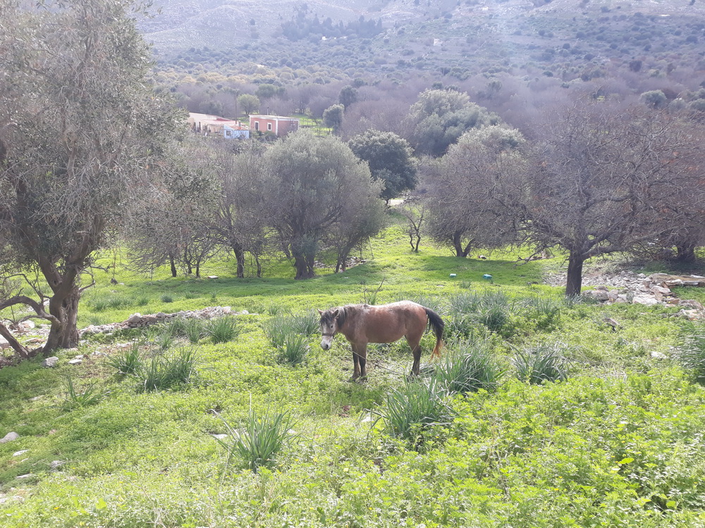 Neil January 2021_29