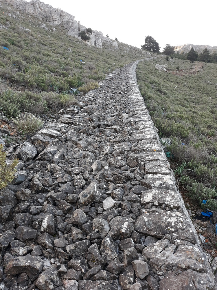 Neil february 21_070