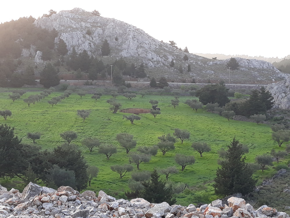 Neil february 21_071