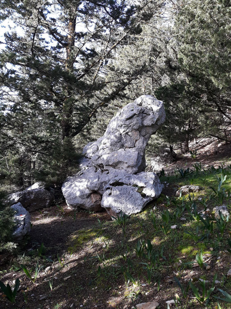 Neil february 21_074