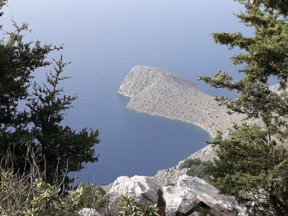 Neil february 21_082