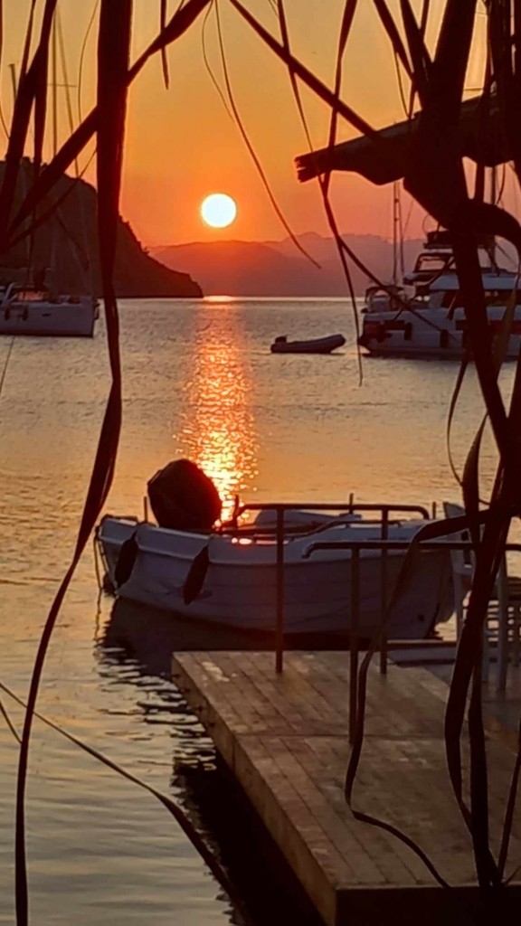 357114232_780717873537748_5758889636532474958_n