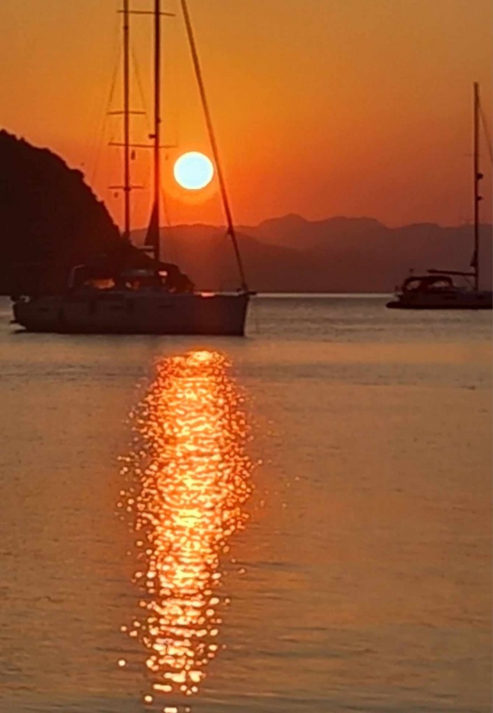 Photos today are from Neil