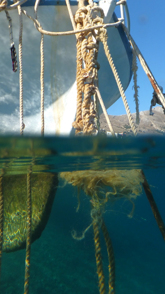 358196210_1317946675791382_4750108910886239877_n