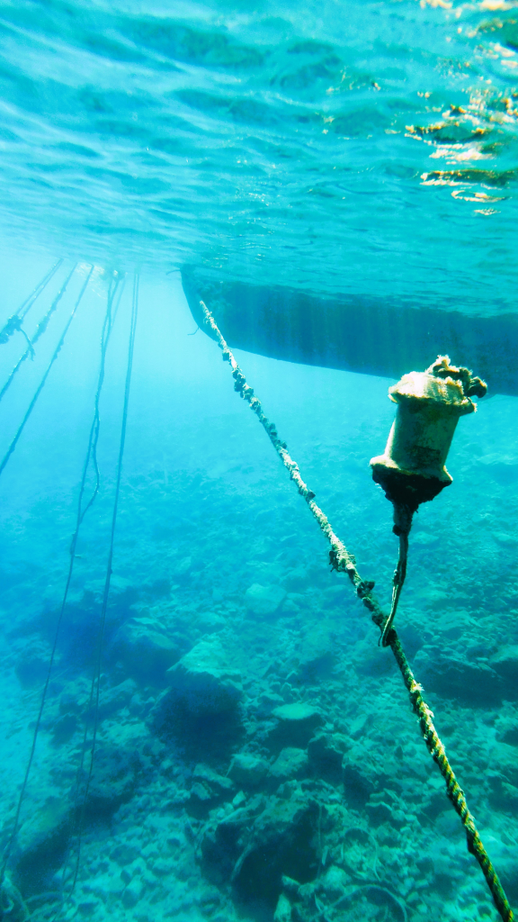 358228643_1710176442762705_4533751181247512659_n