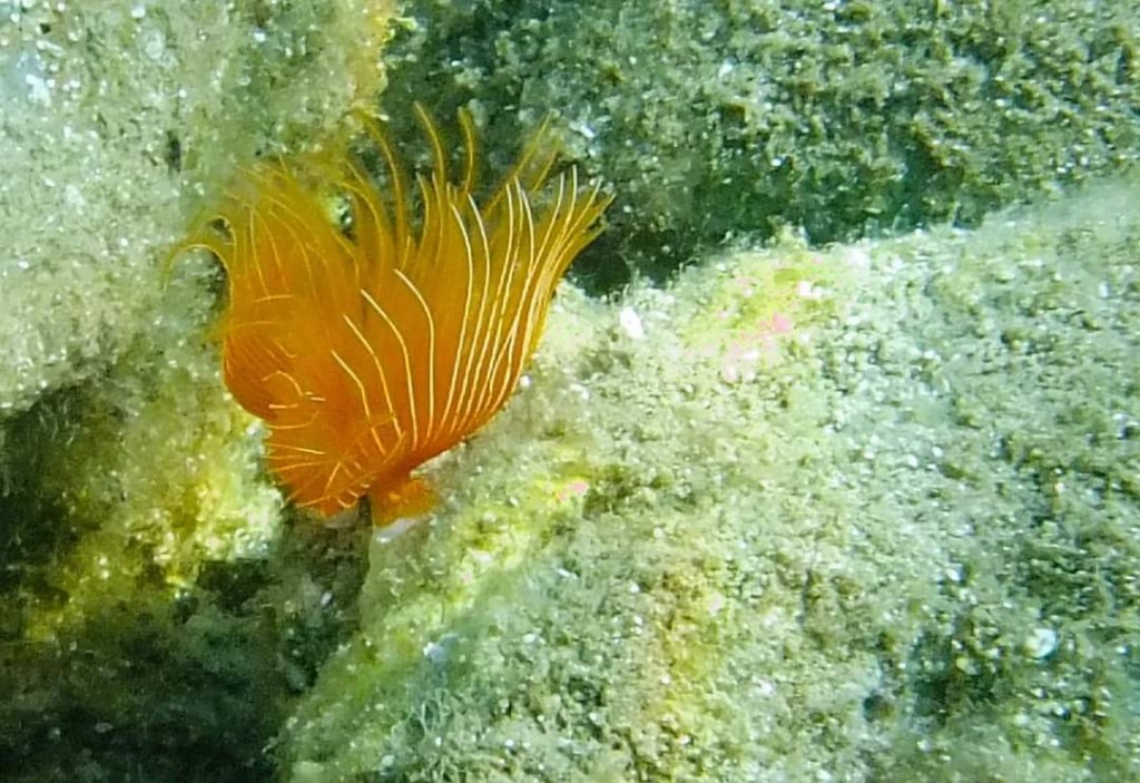 FB_IMG_1689603356089