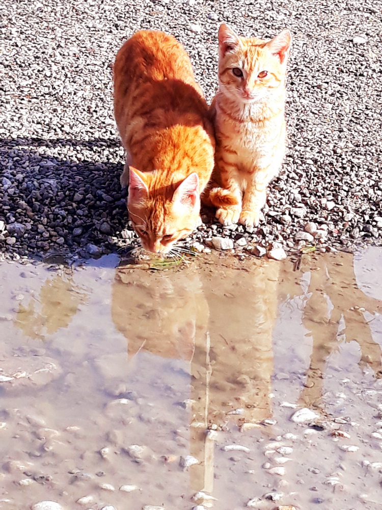 Not outside the house, but one of Neil's photos from a while back.