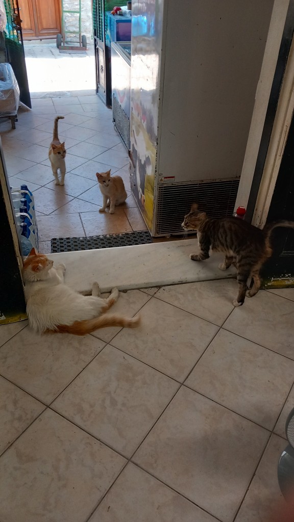 You get a warm welcome.