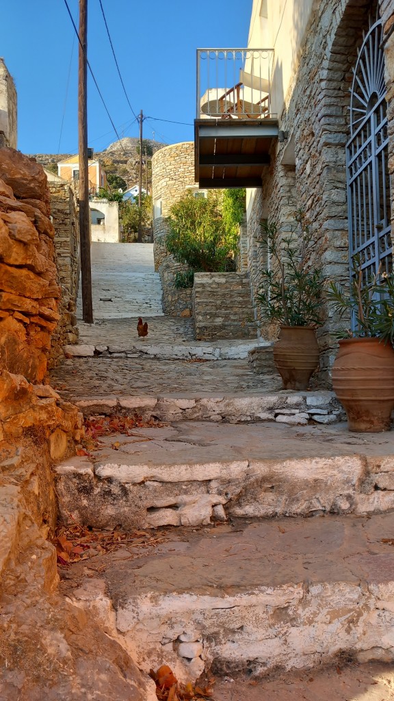 Random photo of a chicken taking a stroll in the upper village.