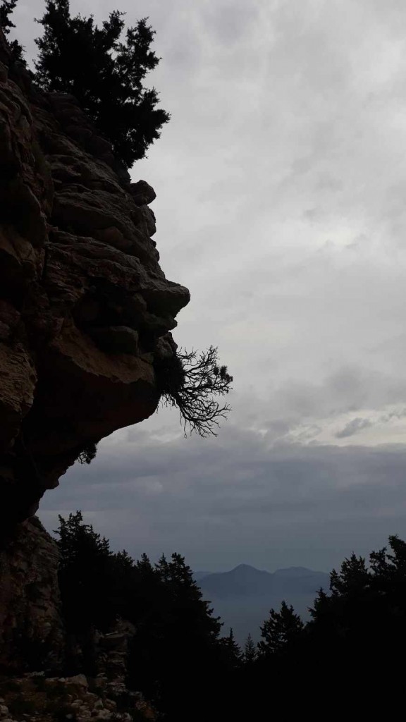 Random photo #2: Above St George’s Bay. One of Neil’s winter photos under the category, ‘Things with faces.’