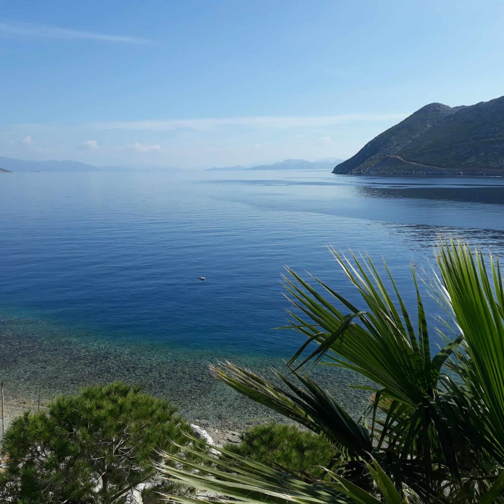 358095965_1580058089190252_1020313565532279725_n