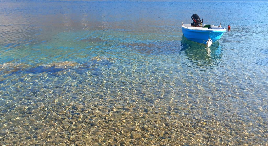 362905116_938918070730695_8541981487223330309_n