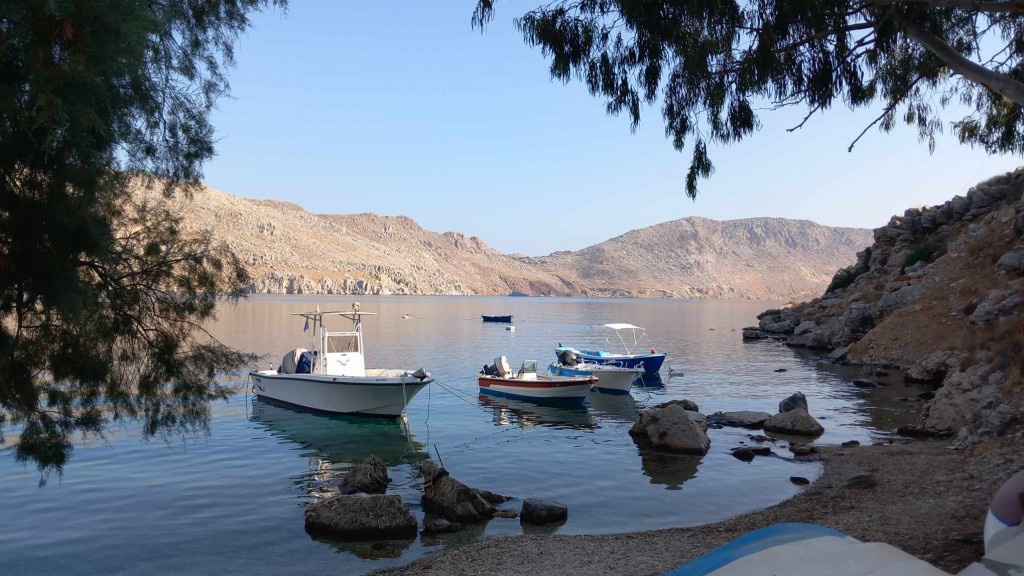 A couple of random photos from Neil to brighten the page.