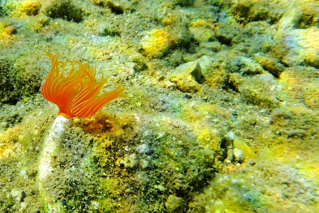 received_1425623448222847