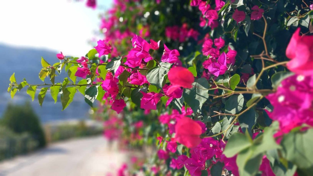 366147621_332102242507509_7334824429159515801_n