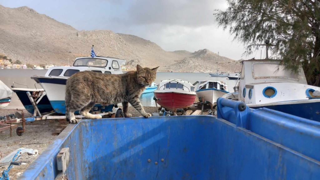 376362858_1113941149576505_8324512083150421485_n