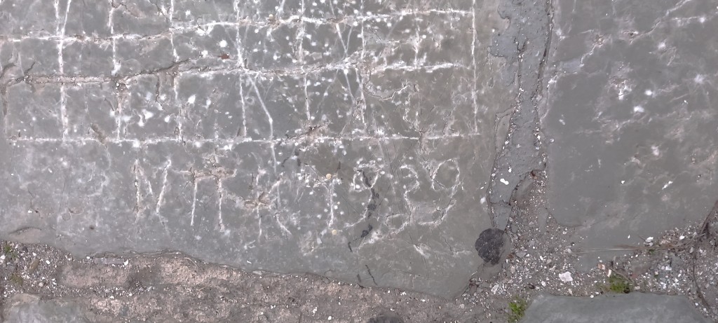 20240207_171453darker