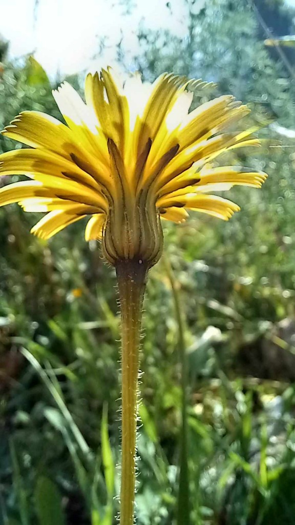 0dc6ee28-0f40-4b49-997a-8df8c507afd6