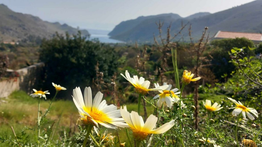 835d32d2-2fbb-4409-93c9-7e95b08fc0f6