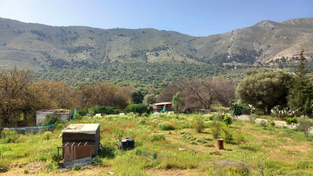 (Meanwhile, in the valley...)