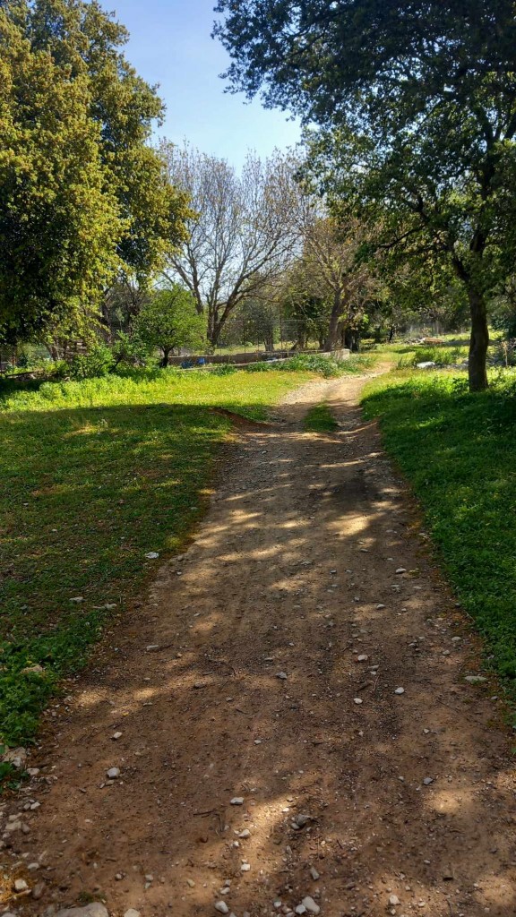 a3ca3ca4-5709-467d-8e9f-b72573fe9cf3