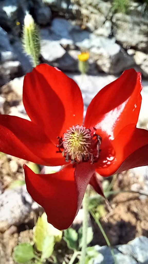 fddfefa6-98a6-4efe-85d2-928f6ba07bb0