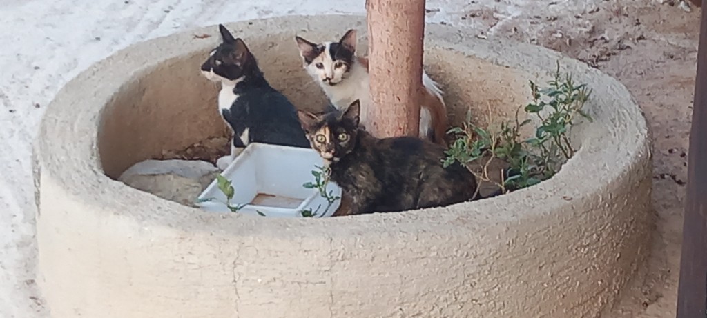 And a cutie photo to finish.