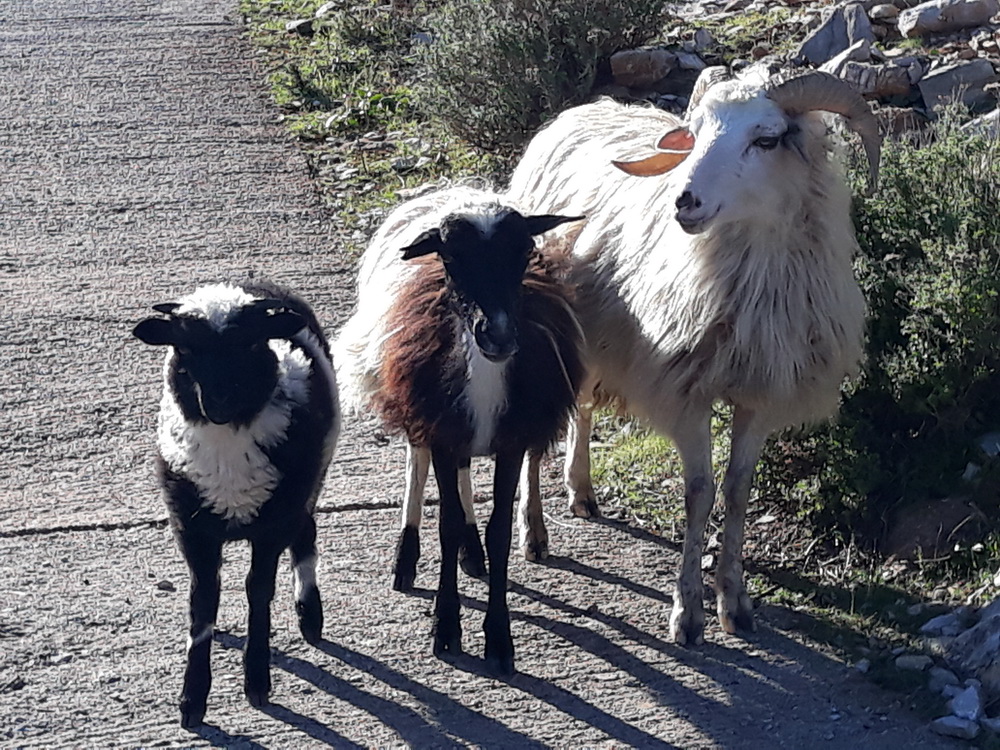 february and march_03