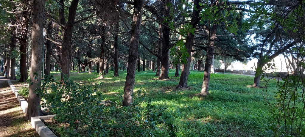 A walk around the Old Town walls, Rhodes, December.